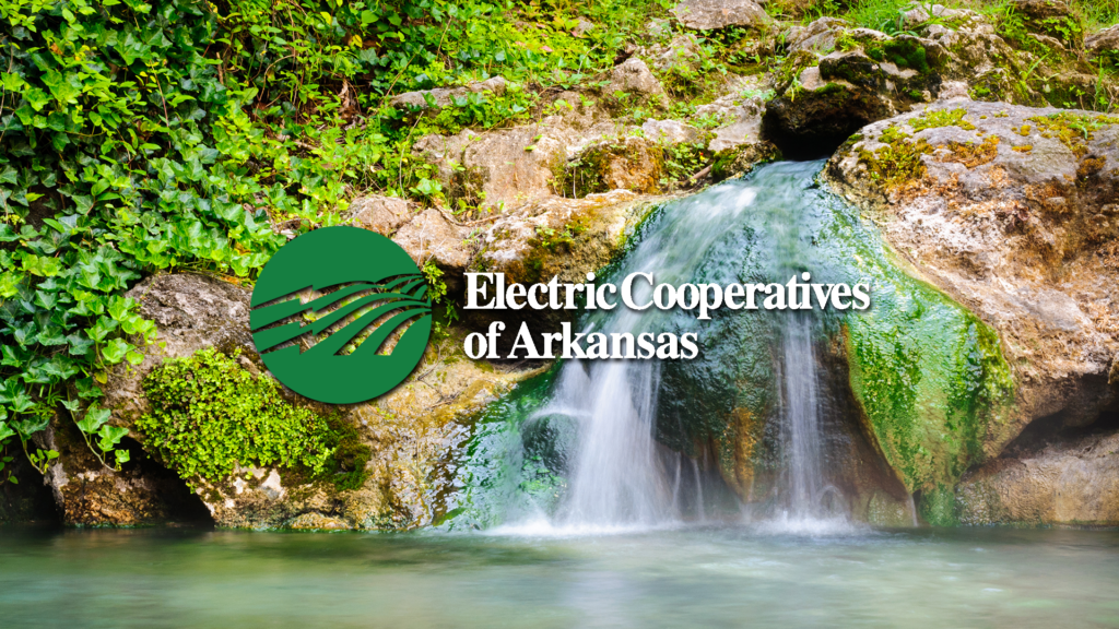 Electric Cooperatives of Arkansas Director's Summer Meeting, Hot